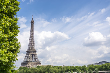 Wall Mural - Panoramic view of Eiffel tower