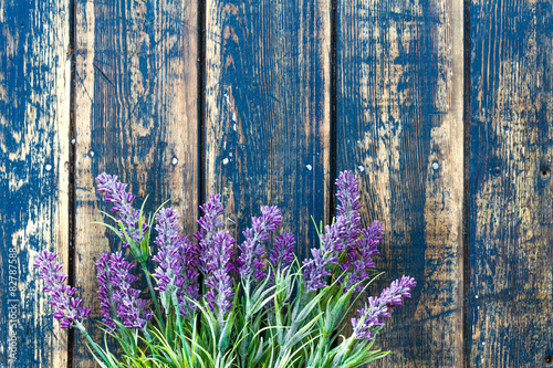 Naklejka dekoracyjna Lavender