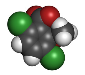 Wall Mural - Hydroxycitric acid  (HCA, hydroxycitrate) molecule. 