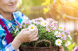 © Halfpoint - Beautiful senior woman planting flowers in her garden