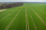 Fototapeta Tęcza - Aerial view of the field