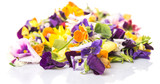 Fototapeta Tulipany - Mix edible flower salad