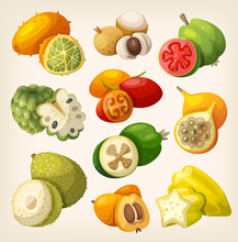 Exotic Tropical Fruit. Icons For Labels And Packages
