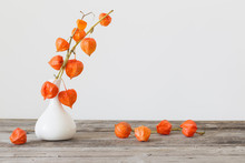 Still Life With Red Physalis
