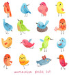 Watercolor vector birds set