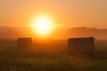 Sunrise In Farmland