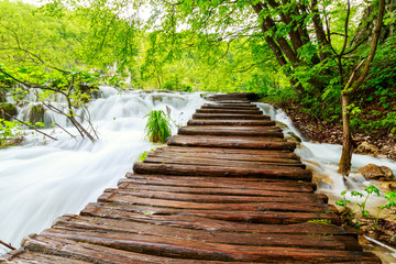 Wall Mural - Wooden path in National Park in Plitvice