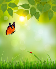 Poster - Nature summer background with leaves and grass. Vector.