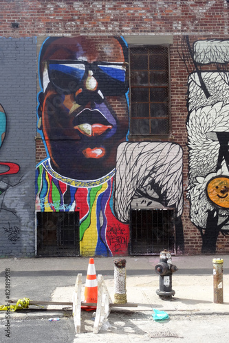 Street art - Bushwick / New York City © Brad Pict