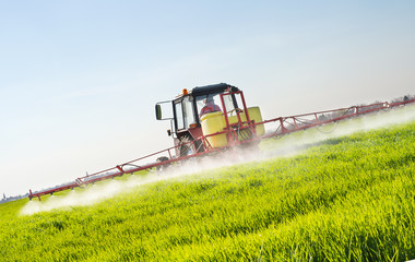 Poster - Tractor spraying wheat field