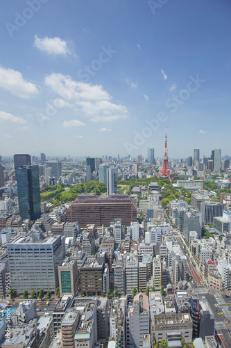 東京タワーを遠景に臨む Stock Photo Adobe Stock 東京タワーを遠景に臨む Stock Photo Adobe Stock