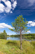 Sunny landscape from finland