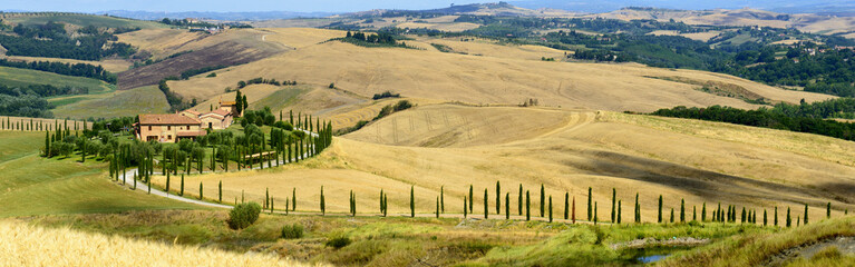 Wall Mural - Crete Senesi (Tuscany, Italy)