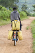 Boy carries water in the bicycle