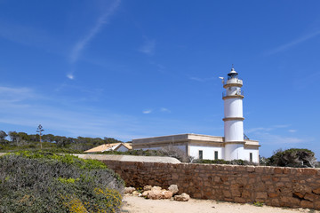 Poster - Far des Cap de ses Salines