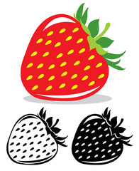 Poster - Strawberry vector illustration in color and black and white