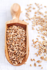 Wall Mural - Wheat grain on white wooden table