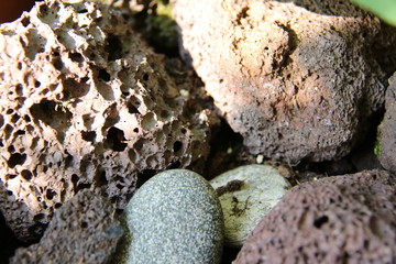 Group of rocks