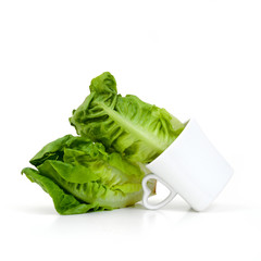 Baby Cos lettuce put in beautiful cup isolate on white