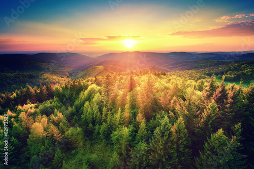 Foto-Kissen premium - Malerischer Sonnenuntergang über dem Wald (von Smileus)