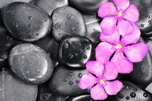 Obraz w ramie Flowers and stones
