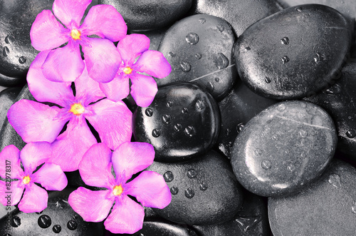 Naklejka dekoracyjna Stones and flowers.