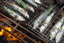 Sardines On Bbq With Fire