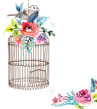 Watercolor Flowers And Bird Cage