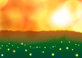 Wall Mural - Vector illustration. Field with flowers at sunset.