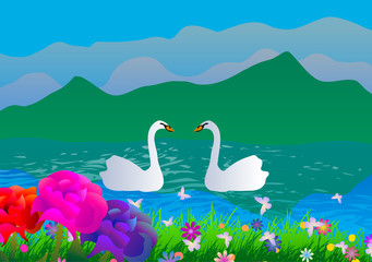 Wall Mural - Vector illustration. Two swans in the lake.