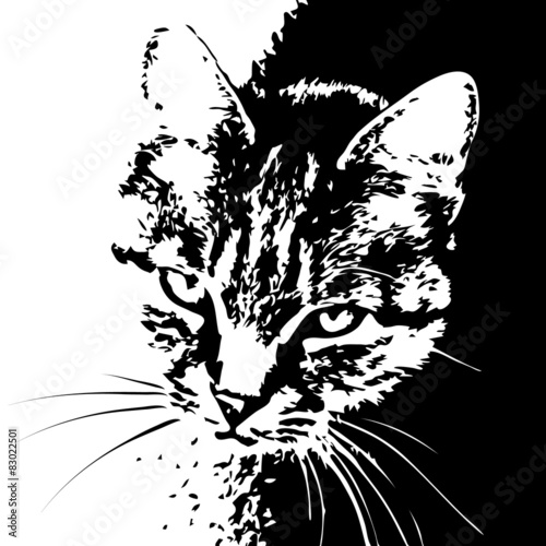 czarno-bialy-portret-kota-w-paski