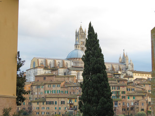 Canvas Print -  Siena, Cathedral