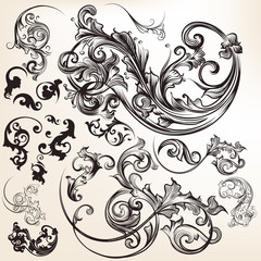 Wall Mural - vector calligraphic flourishes and swirls