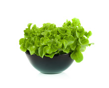 Green Salad Isolated On A White Background