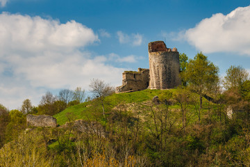 Wall Mural - Ruins of the castle Michalovice with leaning tower.