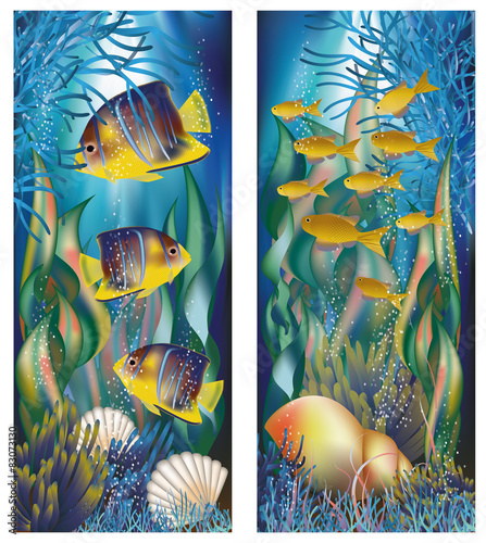 Naklejka - mata magnetyczna na lodówkę Underwater banners with shell and tropical fish, vector 