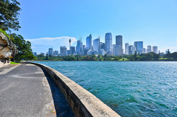 Wall Mural - View of Sydney Harbor in a sunny day