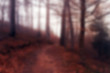 Zamazane ciemne tło z jesiennym lasem we mgle