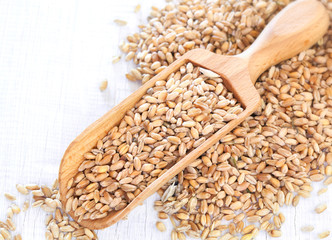 Wall Mural - Full wooden scoop of Wheat Seeds on white wooden background