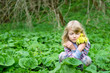 girl with cowslip flower