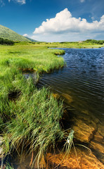 Wall Mural - lake in mountain valley. beautiful natural landscape