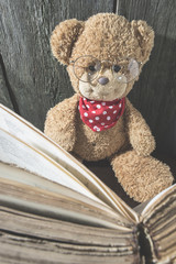 Children teddy bear with book