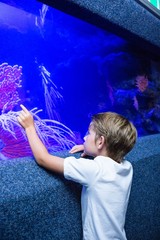 Poster - Young man touching an algae tank 