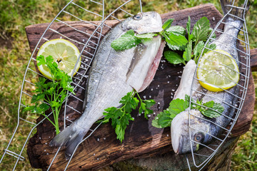 Roasting fresh fish with herbs and lemon