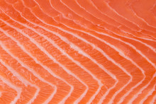 Close Up Of Salmon Fillet.