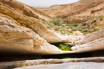 Green water pit in desert gorge.