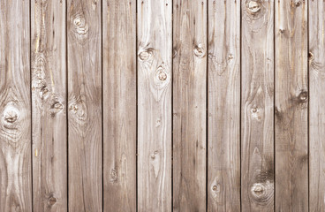 Wall Mural - wood texture