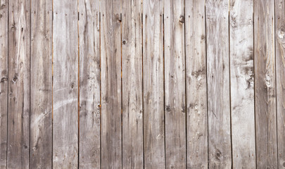 Wall Mural - wooden wall