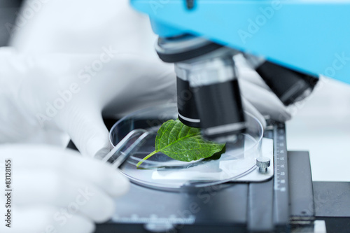 Fotografía close up of hand with microscope and green leaf
