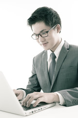 Wall Mural - Handsome businessman working with laptop